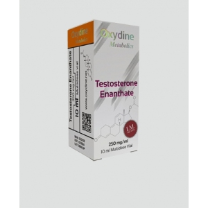 Oxydine Testosteron Enanthate 250 Mg 10 Ml